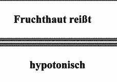 Vorschau Seite 16