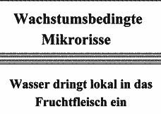 Vorschau Seite 17
