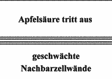 Vorschau Seite 18