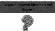 Vorschau Seite 23