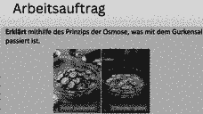Vorschau Seite 28