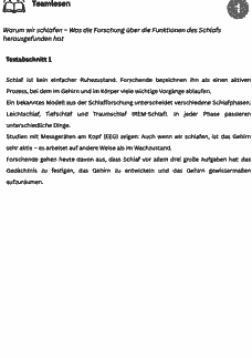 Vorschau Seite 4
