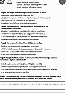 Vorschau Seite 8