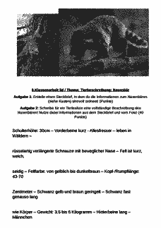 Vorschau Seite 1