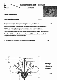 Vorschau Seite 1