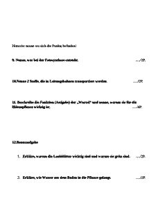 Vorschau Seite 3